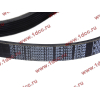 Ремень 8PK1160 SH (612600061295) SHAANXI / Shacman (ШАНКСИ / Шакман) 612600061752 фото 2 Омск