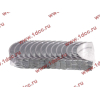 Вкладыши коренные стандарт +0.00 (14шт) LONGGONG CDM833 Lonking CDM (СДМ) 13034908/13034916 фото 2 Омск